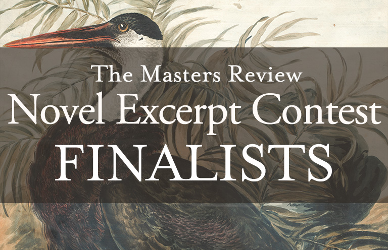 2023 Novel Excerpt Contest Finalists!