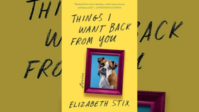 Book Review: Things I Want Back From You by Elizabeth Stix