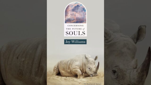 Book Review: Concerning the Future of Souls by Joy Williams