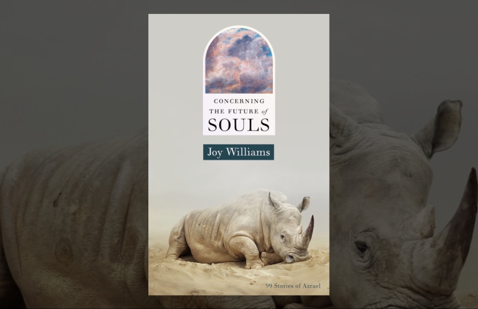 Book Review: Concerning the Future of Souls by Joy Williams