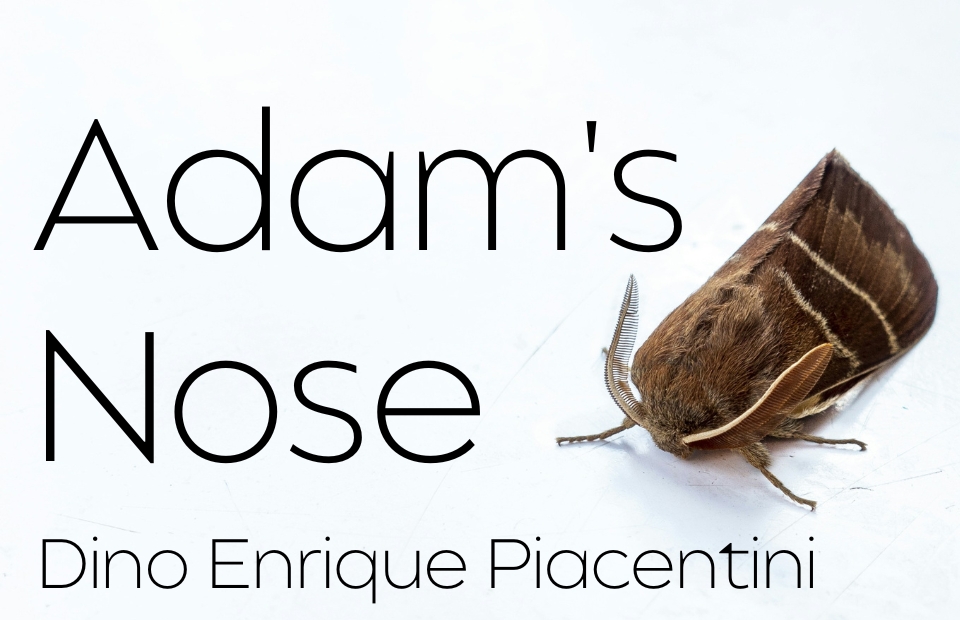 New Voices: “Adam’s Nose” by Dino Enrique Piacentini