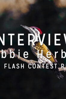 Interview with the Winner: Robbie Herbst