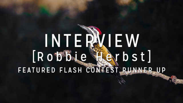 Interview with the Winner: Robbie Herbst