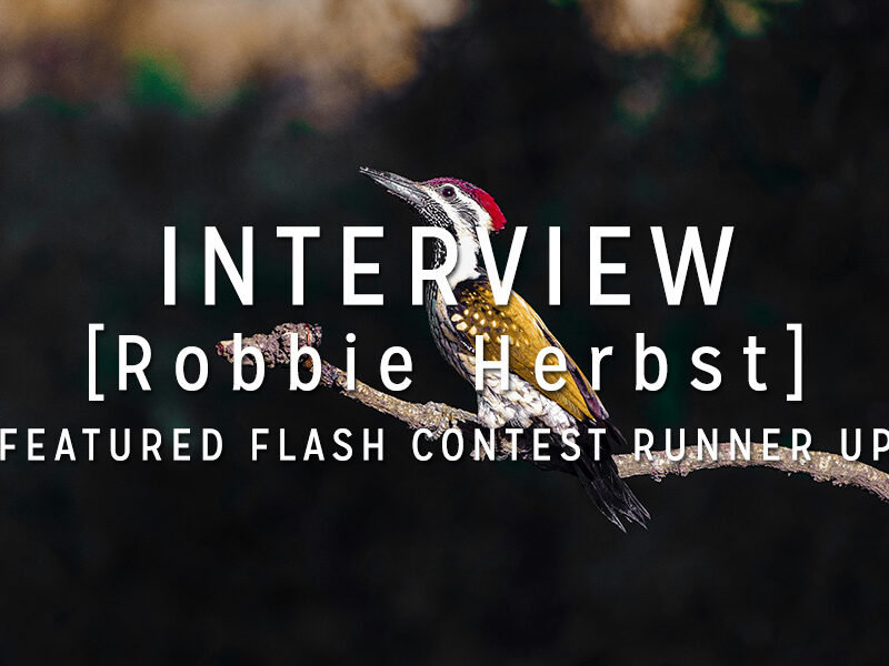 Interview with the Winner: Robbie Herbst