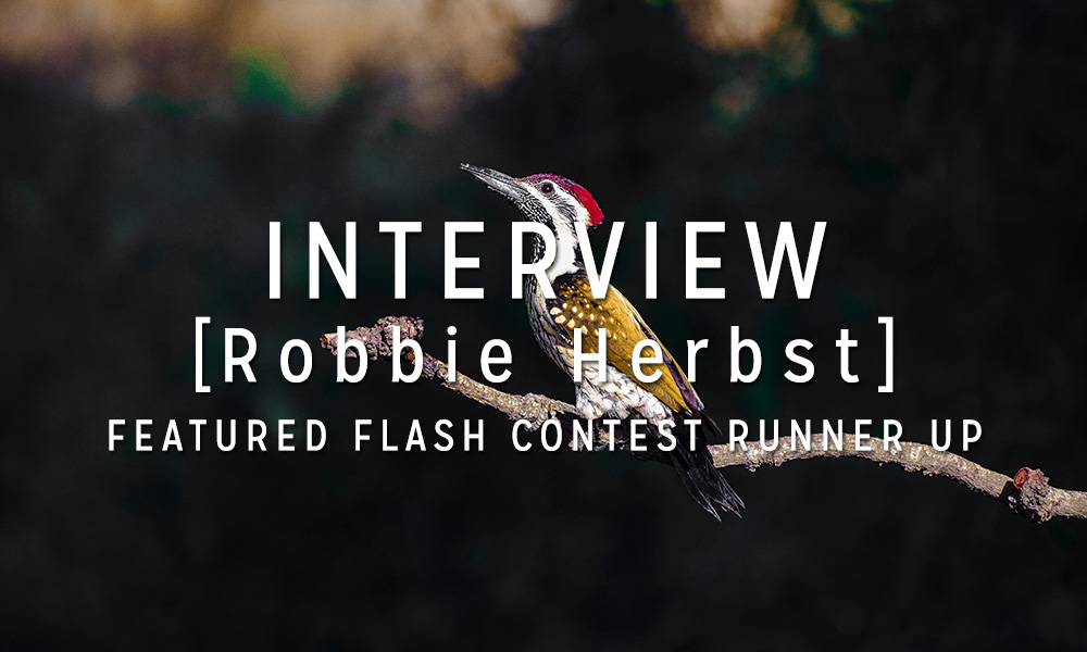 Interview with the Winner: Robbie Herbst