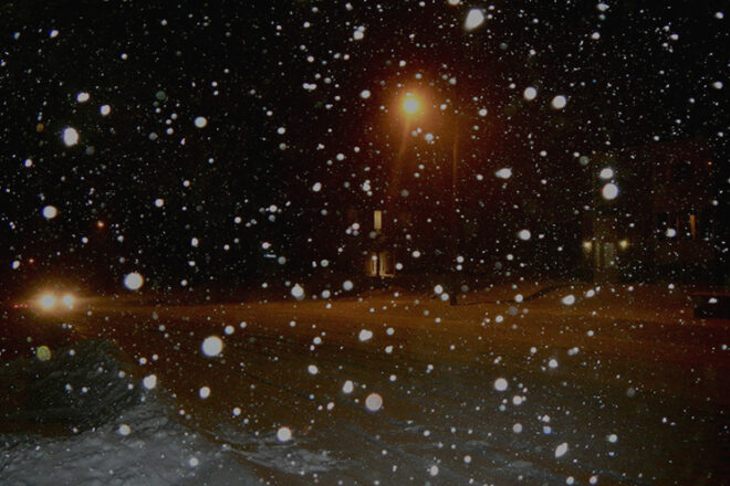 Best Emerging Writers 2024: “Postictal State” by Margaret Adams