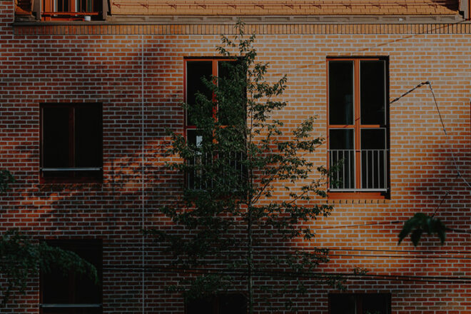 Best Emerging Writers 2024: “My Own True Name” by Vicky Grut