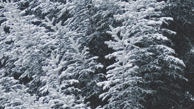 2024-2025 Winter Short Story Award for New Writers Shortlist