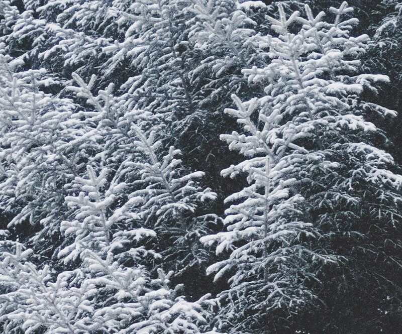 2024-2025 Winter Short Story Award for New Writers Shortlist