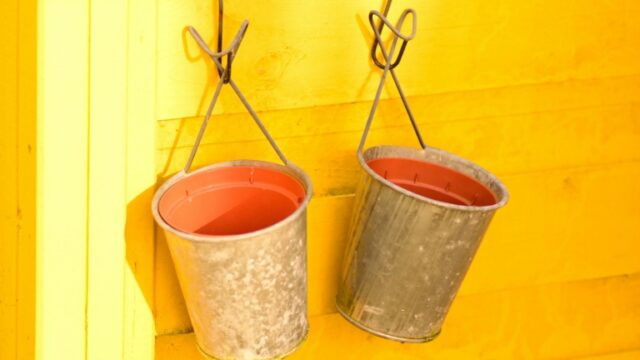 New Voices: “Buckets” by Michelle Ross