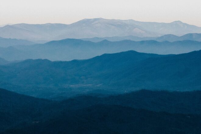 New Voices: “Fat Cat” by Nathan Dixon