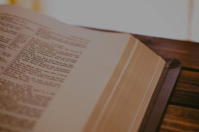 From the Archives: “Sealskin” by Haley Kennedy—Discussed by Valerie Hughes