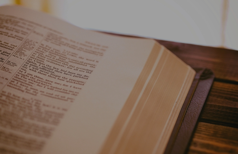 From the Archives: “Sealskin” by Haley Kennedy—Discussed by Valerie Hughes