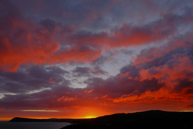 Novel Excerpt Contest 1st Place: “Simmer Dim” by Imogen Osborne