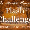 The Flash Challenge: November 10 – November 23, 2025