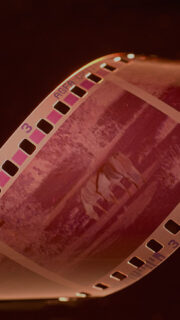 Interview with the Winner: Abigail Bokaer