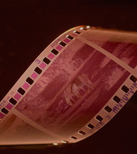 Debut Fiction Prize 2nd Place: “Made in Wonderland” by Abigail Bokaer