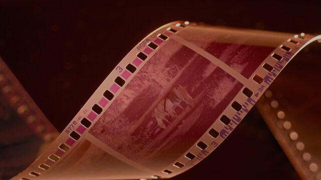 Debut Fiction Prize 2nd Place: “Made in Wonderland” by Abigail Bokaer