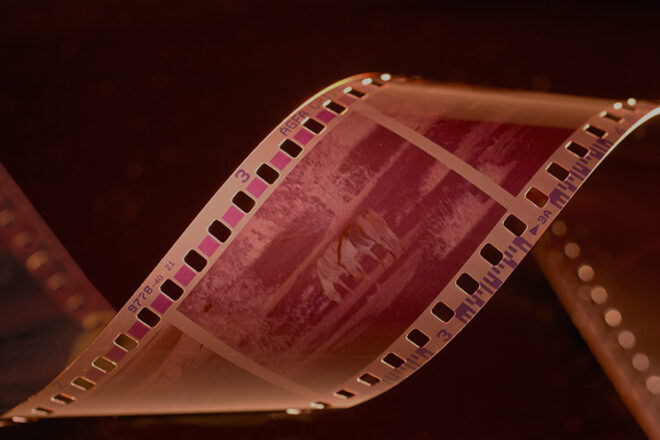 Interview with the Winner: Abigail Bokaer