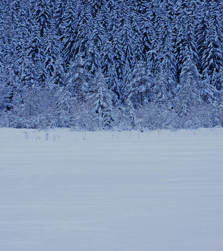 Interview with the Winner: Rachael Riley