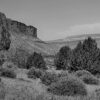 New Voices: “Cortez Canyon” by Terry Engel