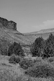 New Voices: “Cortez Canyon” by Terry Engel