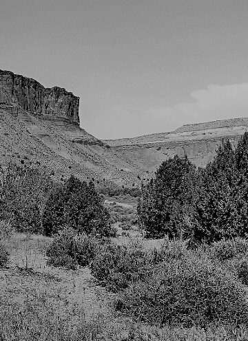 New Voices: “Cortez Canyon” by Terry Engel