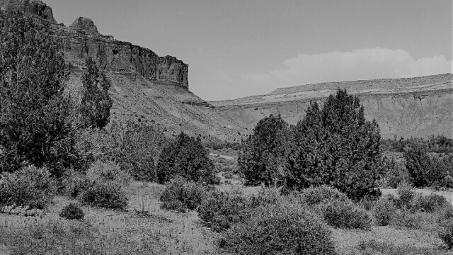 New Voices: “Cortez Canyon” by Terry Engel