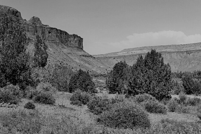 New Voices: “Cortez Canyon” by Terry Engel