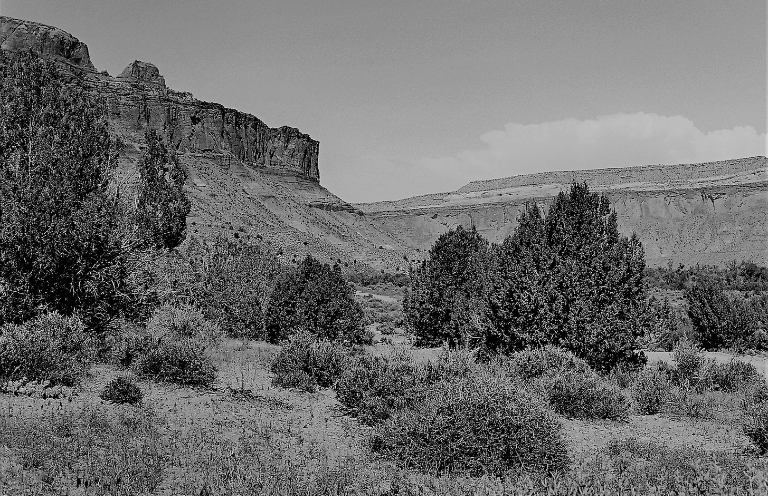 New Voices: “Cortez Canyon” by Terry Engel