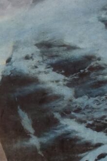 A Conversation with Sharon White, Author of If the Owl Calls