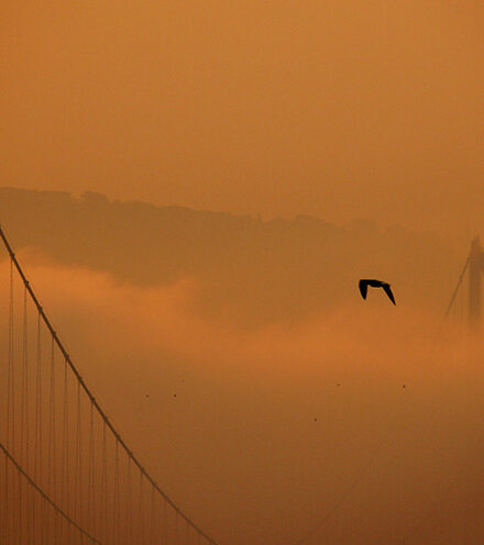 Interview with the Winner: Dilara Y