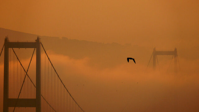 Debut Fiction Prize 1st Place: “The Peace Bride” by Dilara Y