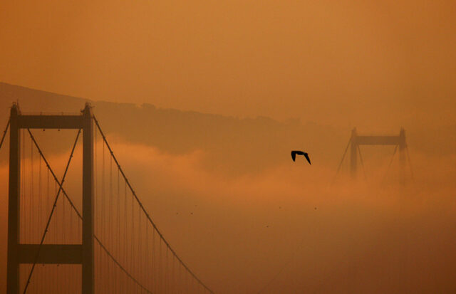 Debut Fiction Prize 1st Place: “The Peace Bride” by Dilara Y