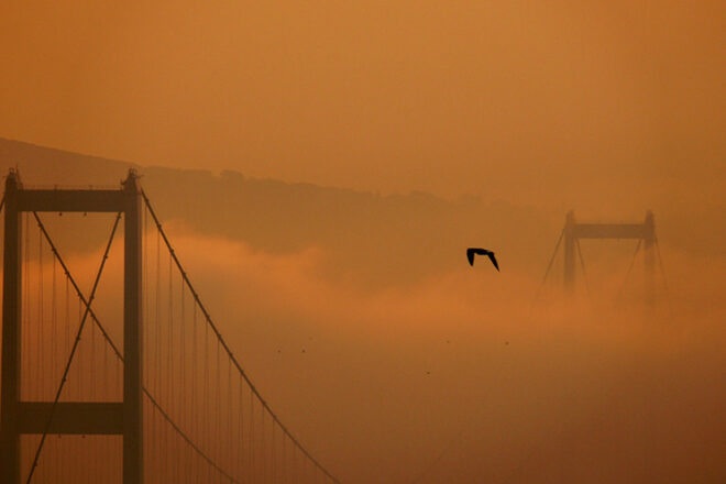 Interview with the Winner: Dilara Y