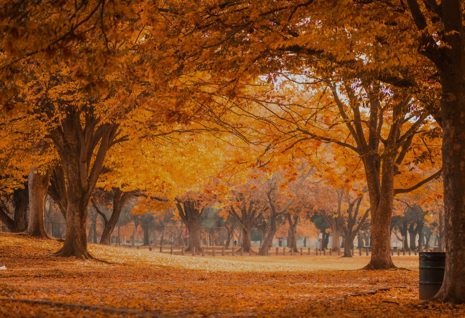 The Flash Challenge Winner & Shortlist!