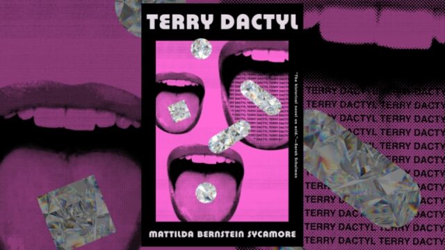 Book Review: Terry Dactyl by Mattilda Bernstein Sycamore