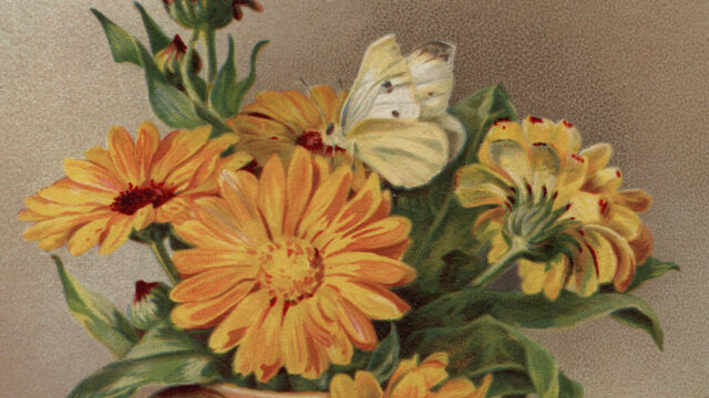 Introducing The Masters Review Prize for New Narratives, Judged by Charles Yu!