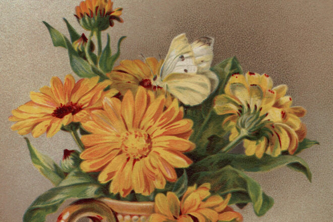 Introducing The Masters Review Prize for New Narratives, Judged by Charles Yu!