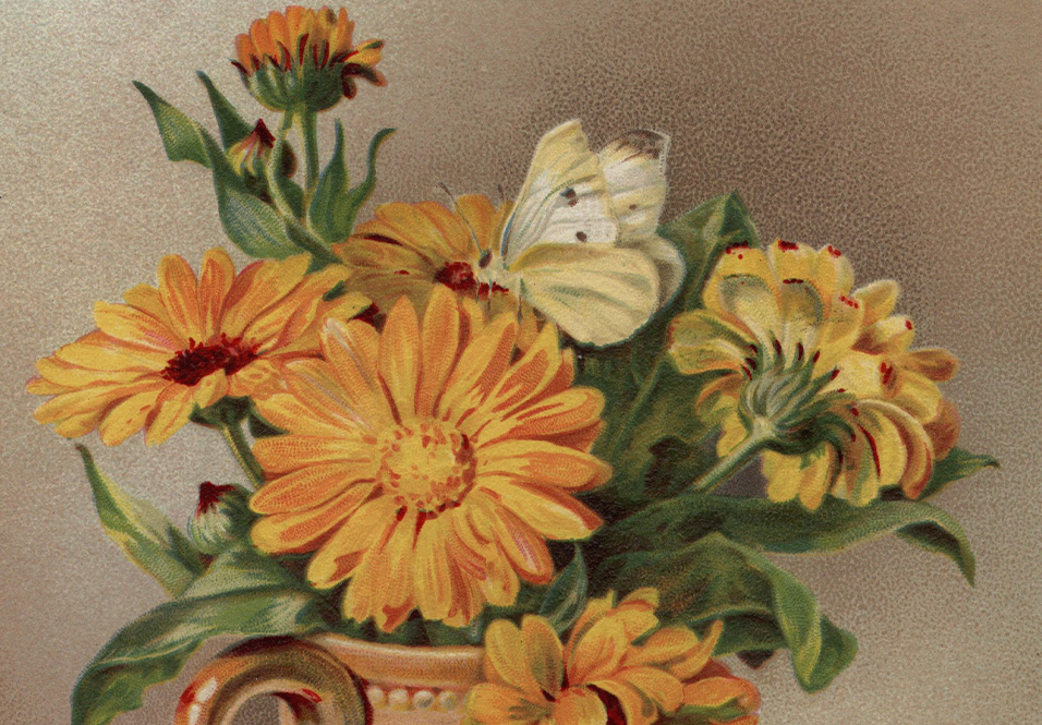 Introducing The Masters Review Prize for New Narratives, Judged by Charles Yu!