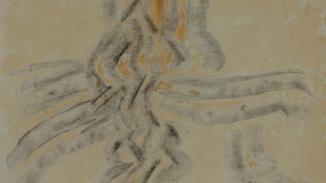 New Voices: “Fossil” by Dave V. Riser