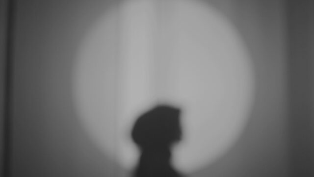 Summer Short Story Award 3rd Place: “Will the Real Kim Novak Please Stand Up” by Rachel Vogel