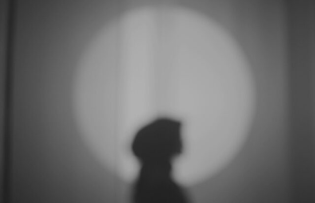 Summer Short Story Award 3rd Place: “Will the Real Kim Novak Please Stand Up” by Rachel Vogel