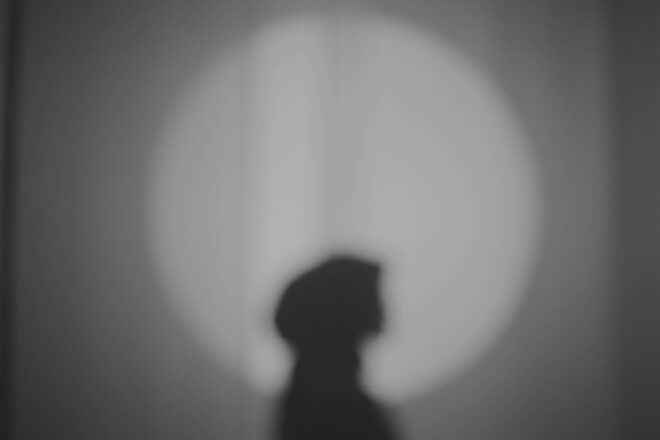 Summer Short Story Award 3rd Place: “Will the Real Kim Novak Please Stand Up” by Rachel Vogel