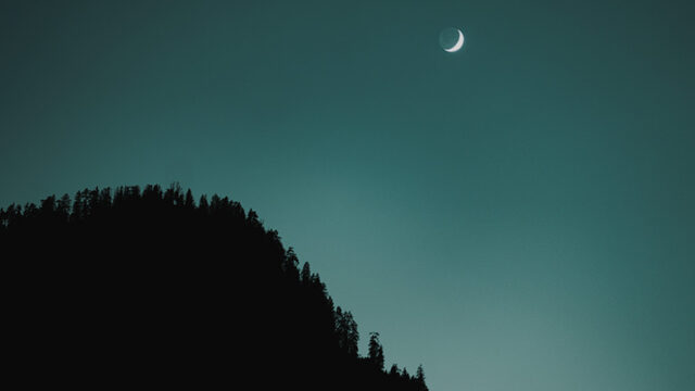 Summer Short Story Award 2nd Place: “The Corpse Flowers” by Thomas Heise