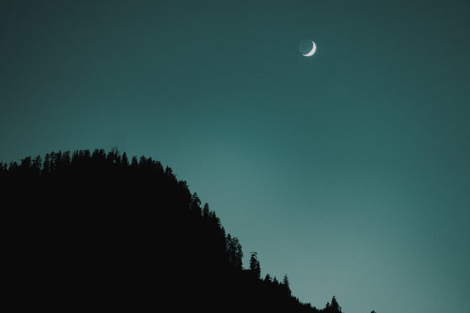 Summer Short Story Award 2nd Place: “The Corpse Flowers” by Thomas Heise