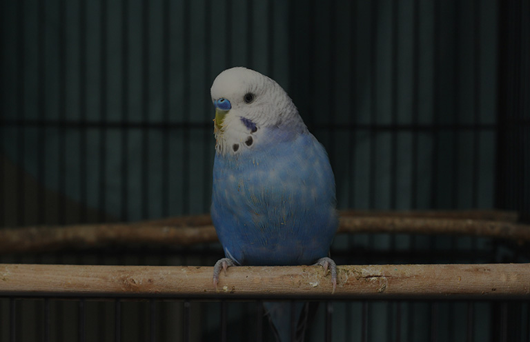 Best Emerging Writers 2025: “Sermons” by Katie Henken Robinson