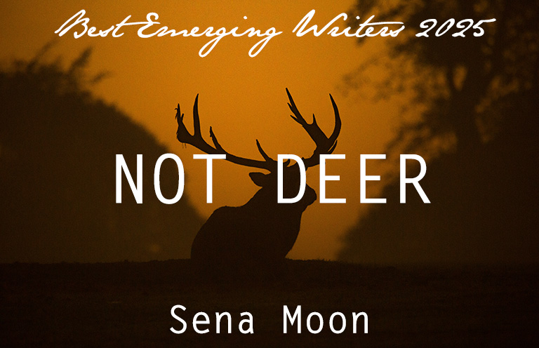 Best Emerging Writers 2025: “Not Deer” by Sena Moon