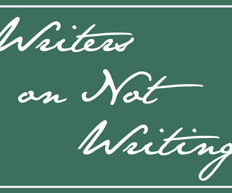Writers on Not Writing: Robert Miner and Howard Maximus Meh-Buh