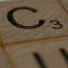 Craft Essay: “I Don’t Believe it: The Craft of Coincidence” by Ayşe Papatya Bucak
